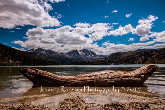 IMG_2856crtcolorwatermark